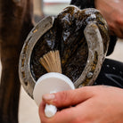 Huile sabots secs cheval - application au pinceau sur sabot ferré - Cura naturale