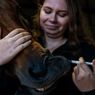 AC Soutien tendineux cheval