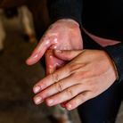 Cheval soigné après utilisation du huile confort hormonal Cura naturale