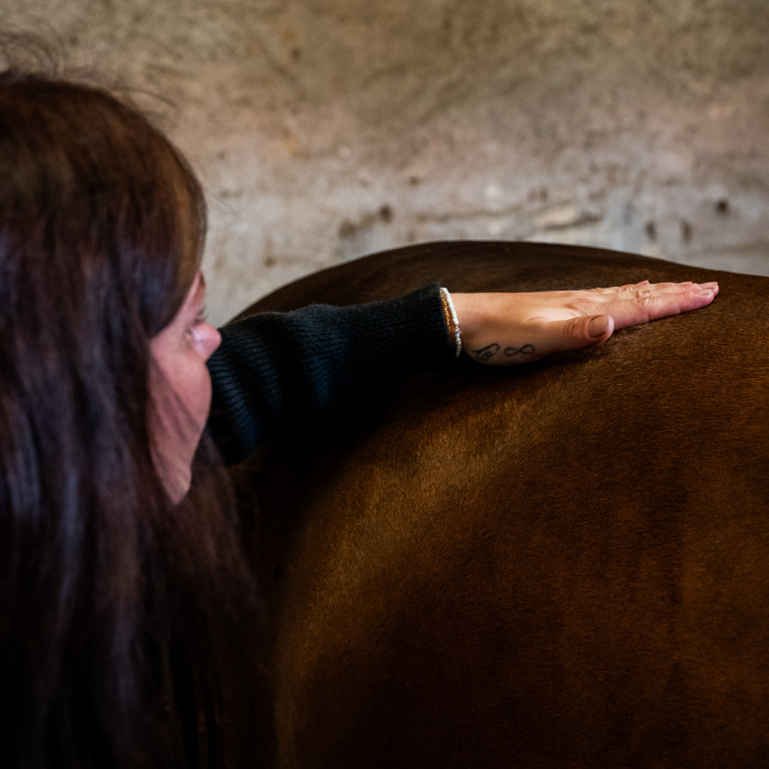 Détail de la texture du huile confort hormonal naturel Cura naturale pour cheval -2