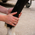 Détail de la texture du huile soutien tendineux naturel Cura naturale pour cheval -2